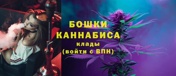 крисы Снежногорск
